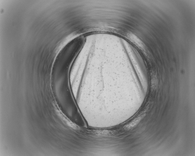 X0000061760940200512302300