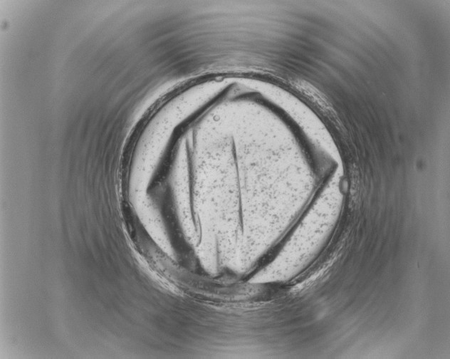 X0000061760942200512302300