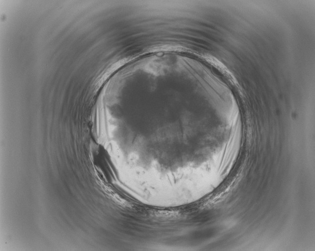 X0000061760945200512302300