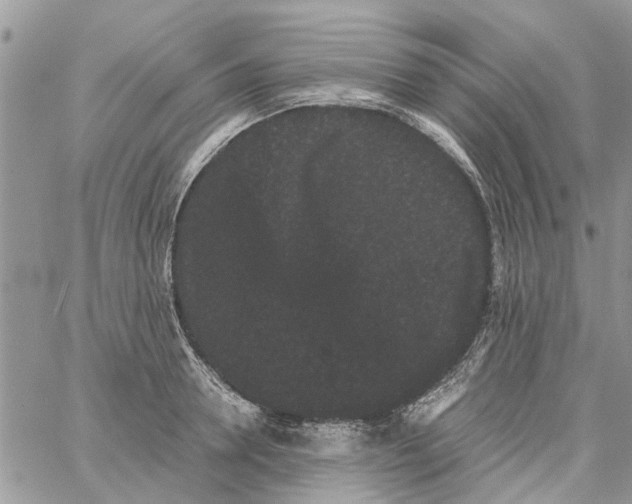 X0000061760946200512302300