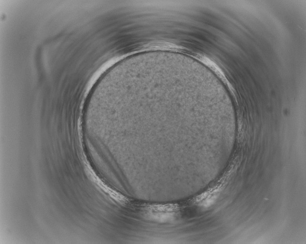 X0000061760947200512302300