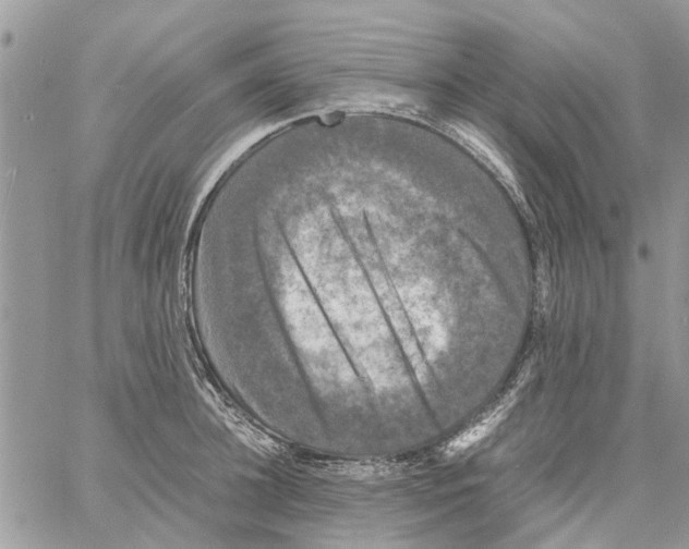 X0000061760948200512302300