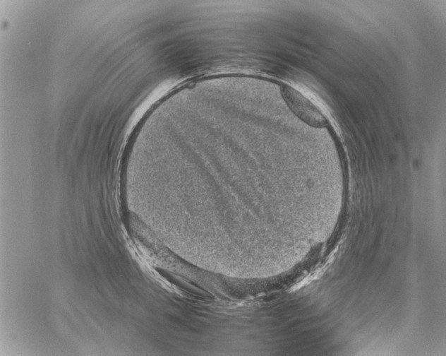 X0000061760949200512302300