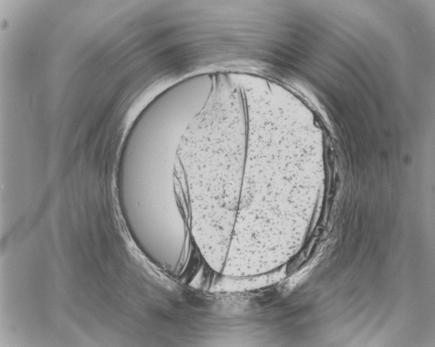 X0000061760952200512302300