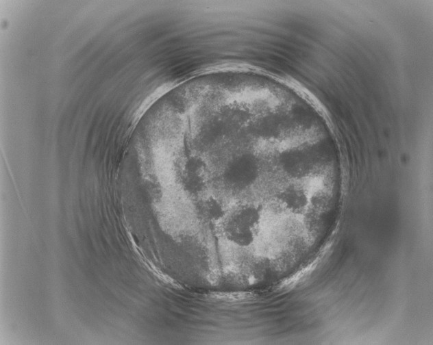 X0000061760953200512302300