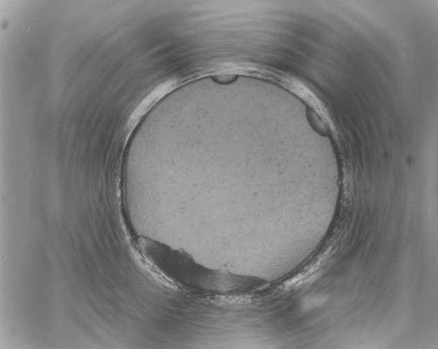 X0000061760954200512302300