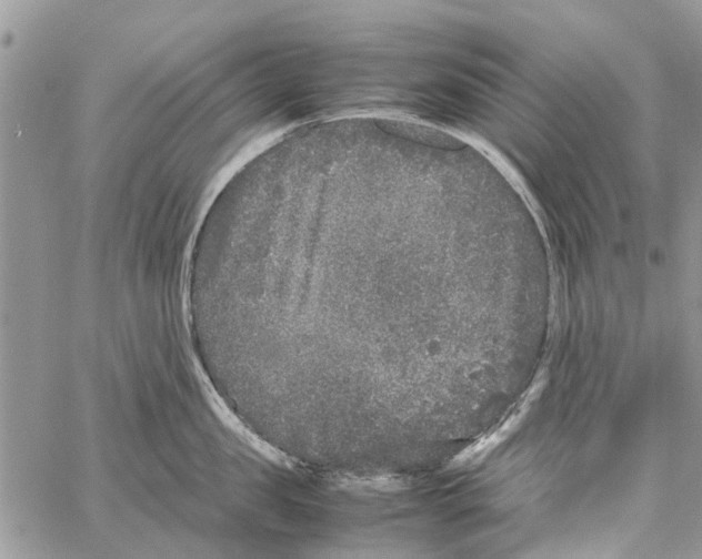 X0000061760957200512302300