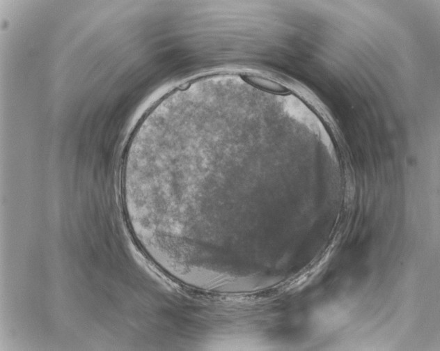 X0000061760958200512302300