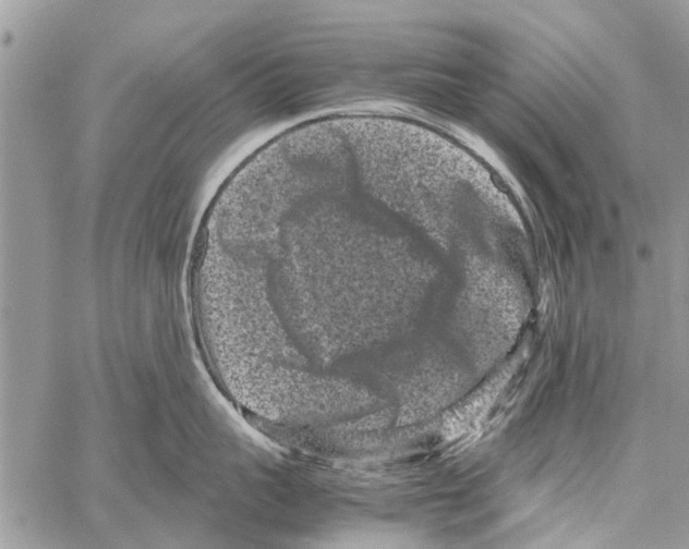 X0000061760959200512302300