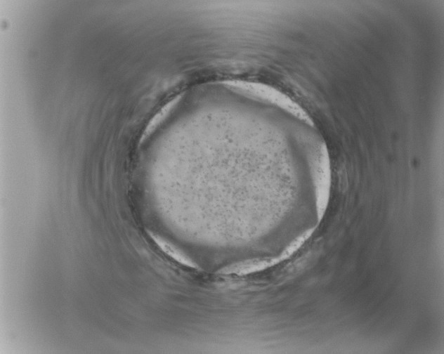 X0000061760961200512302259