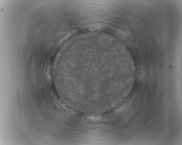 X0000061760962200512302259