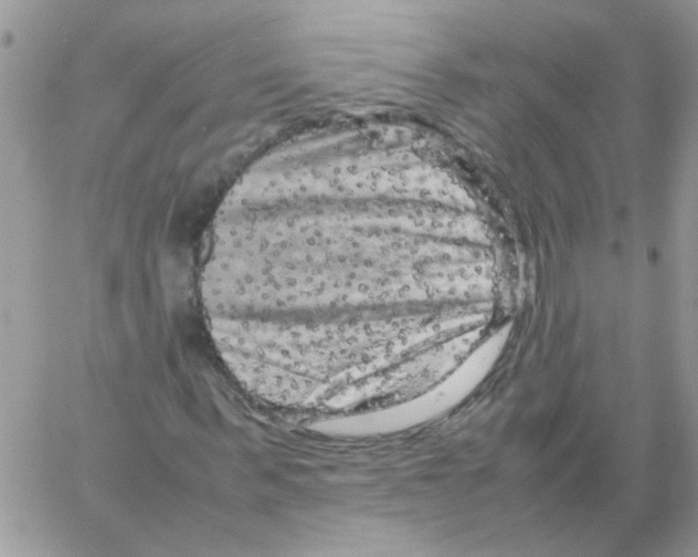 X0000061760963200512302259