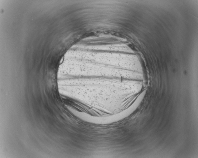 X0000061760964200512302259