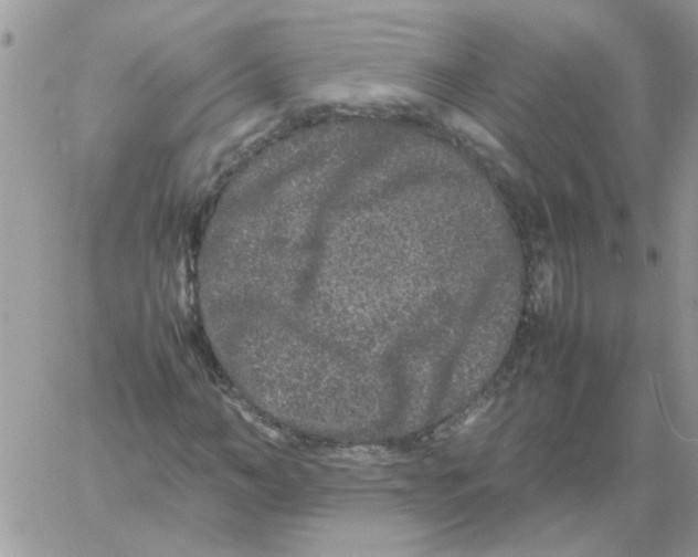 X0000061760966200512302259