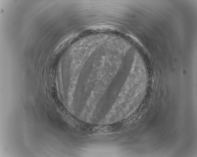 X0000061760967200512302259