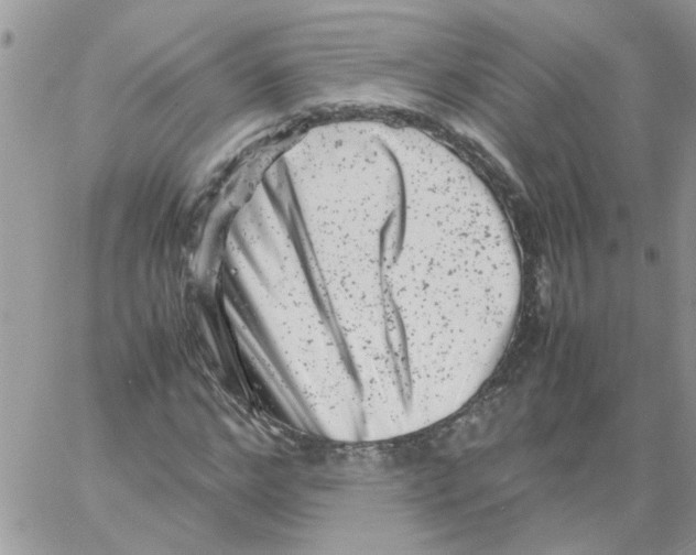 X0000061760968200512302259