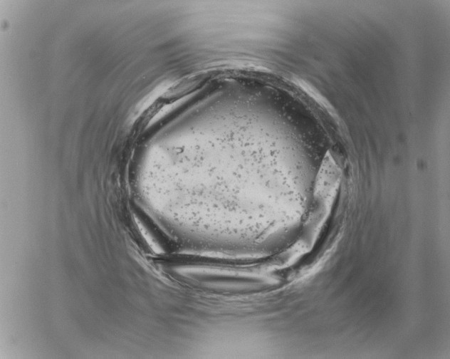 X0000061760969200512302259