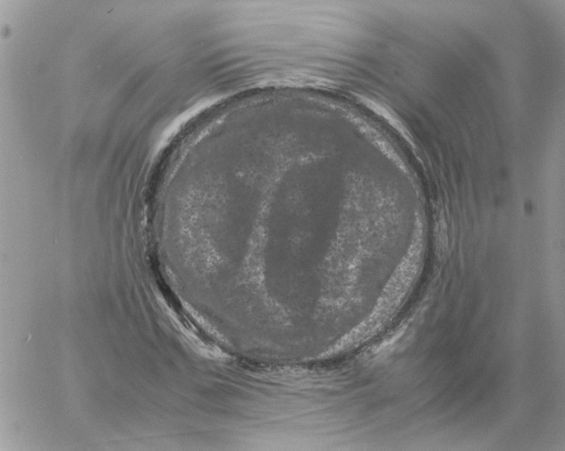 X0000061760971200512302259