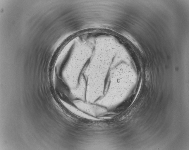 X0000061760972200512302259