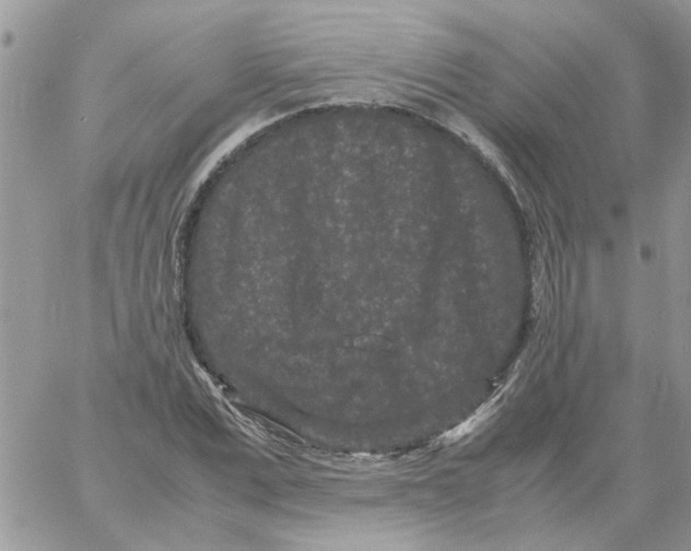 X0000061760975200512302259