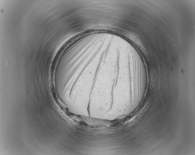 X0000061760976200512302259