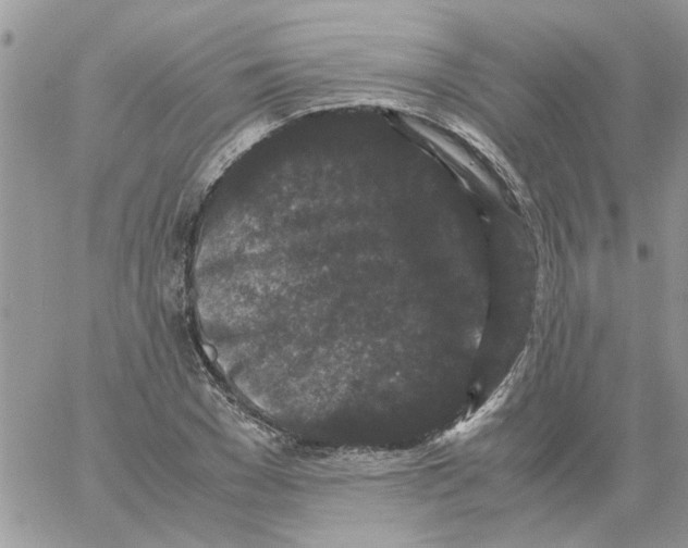 X0000061760977200512302259