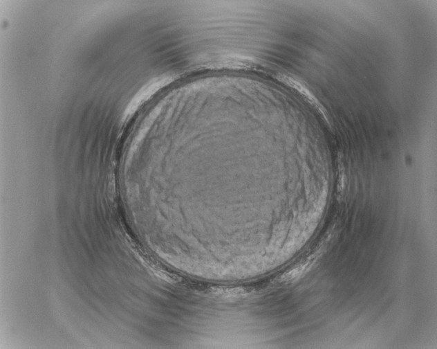 X0000061760978200512302259