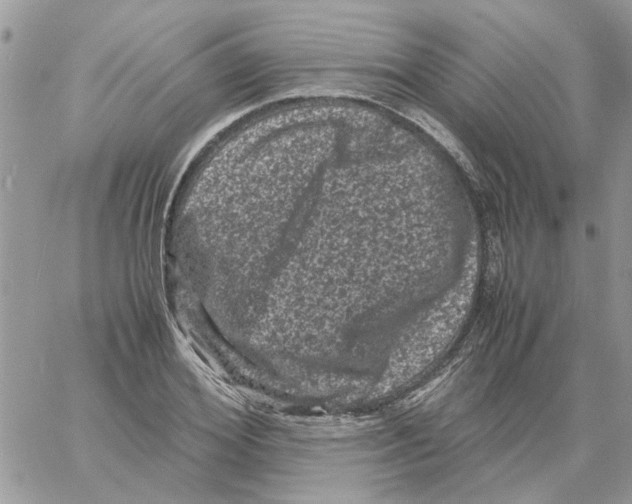 X0000061760980200512302259