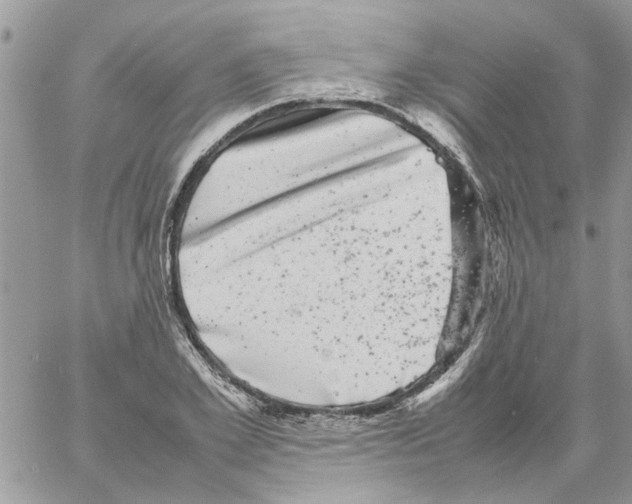 X0000061760981200512302259