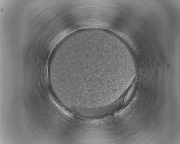 X0000061760982200512302259