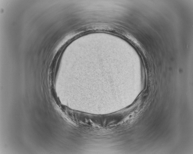 X0000061760983200512302259