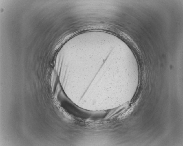 X0000061760985200512302259