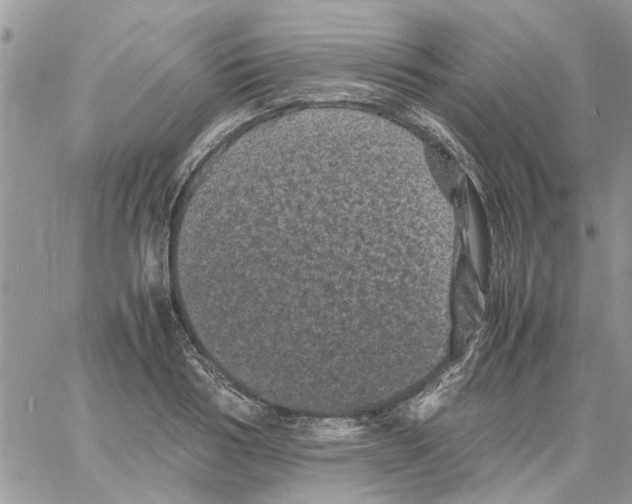 X0000061760986200512302259