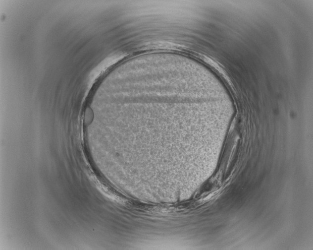 X0000061760987200512302259