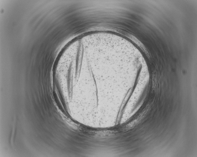 X0000061760988200512302259