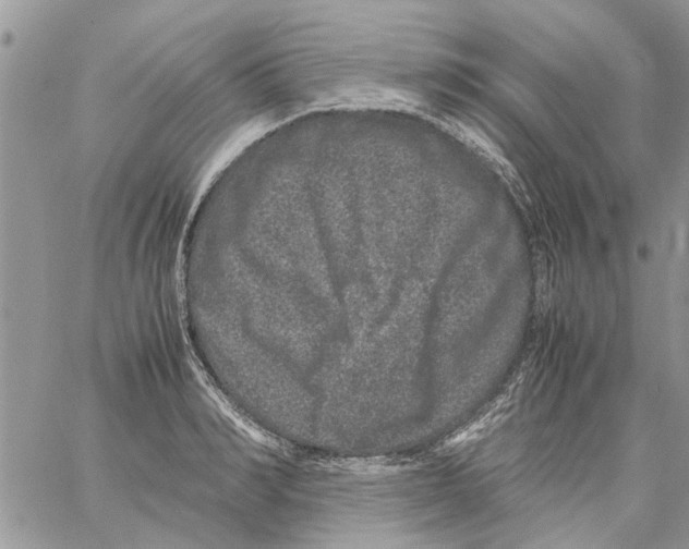 X0000061760990200512302259