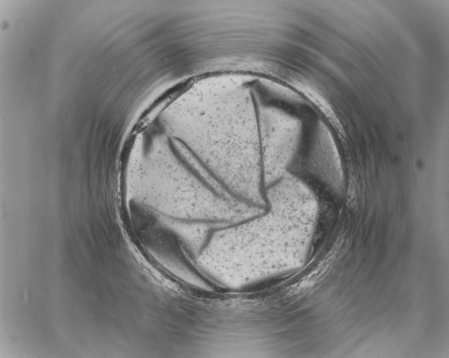 X0000061760992200512302259