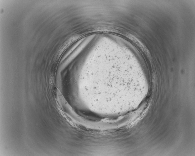 X0000061760993200512302259