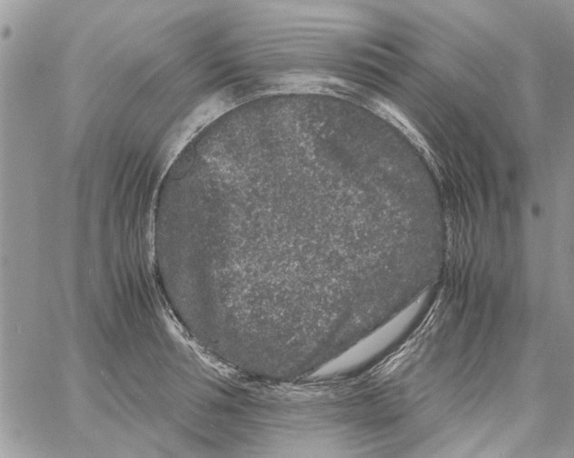 X0000061760994200512302259