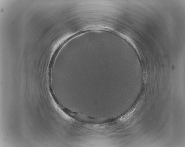 X0000061760995200512302259