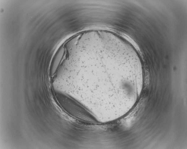 X0000061760996200512302259