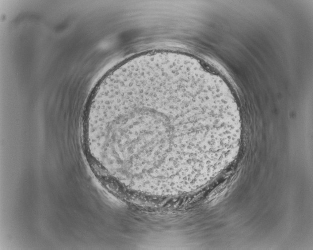 X0000061760999200512302259