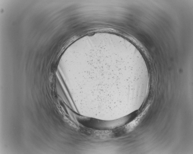 X0000061761001200512302259