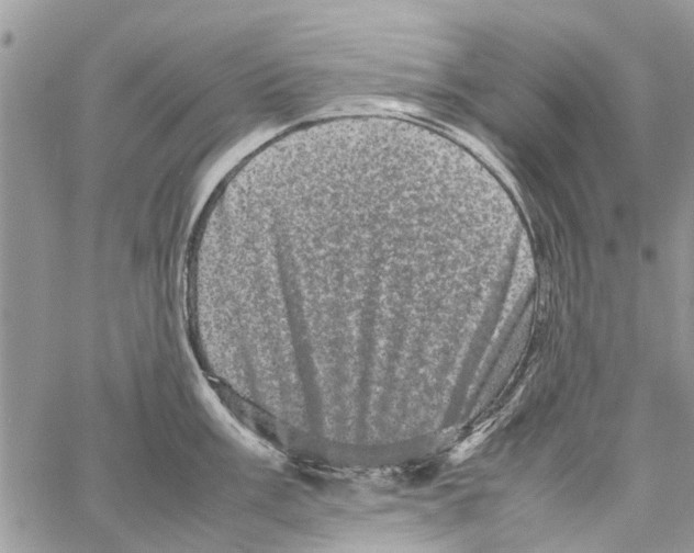 X0000061761003200512302259