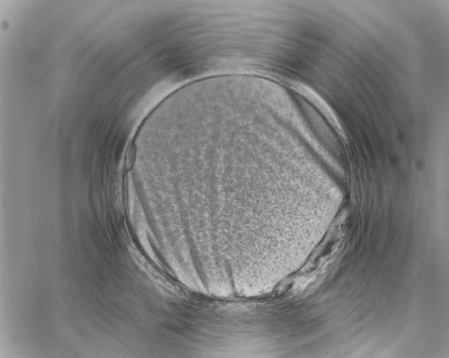 X0000061761004200512302259