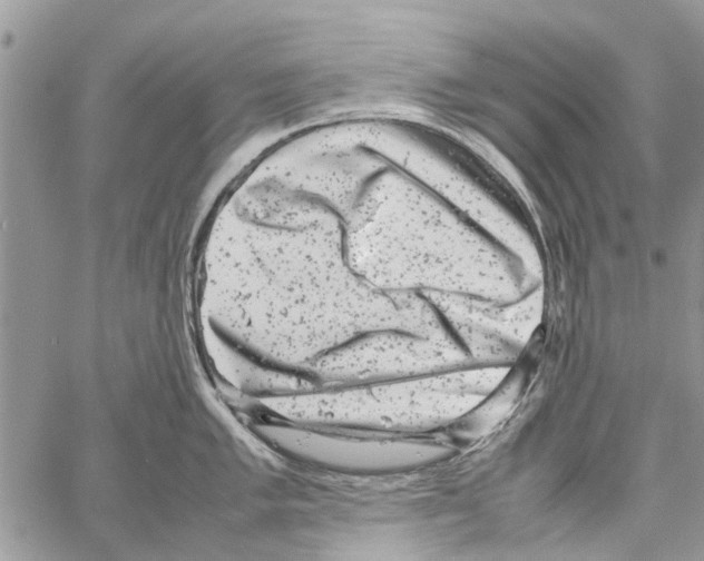 X0000061761005200512302258