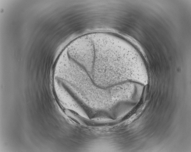 X0000061761006200512302258