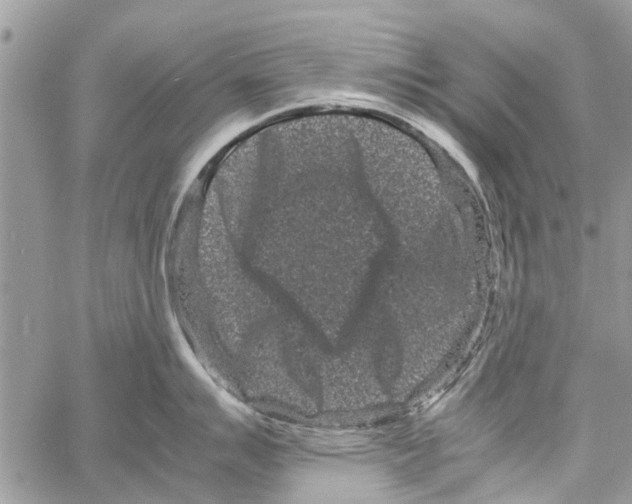 X0000061761007200512302258