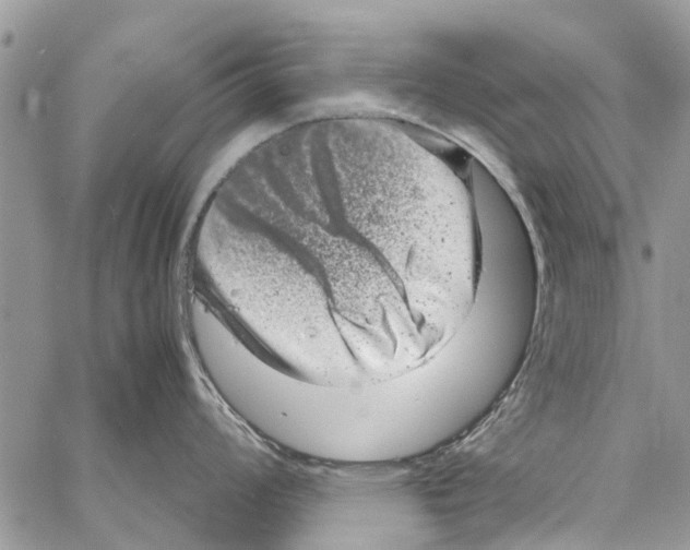 X0000061761008200512302258