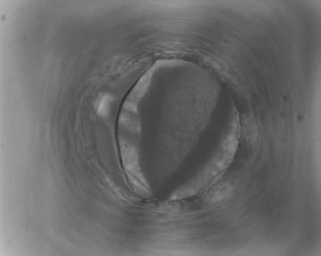 X0000061761009200512302258